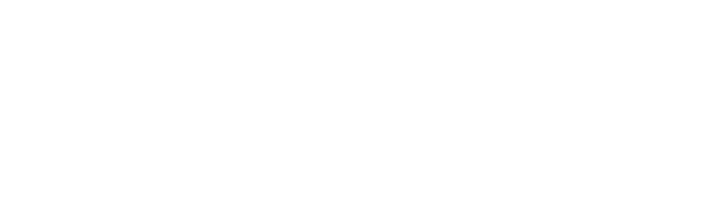 ANSES CAPITAL HUMANO-04